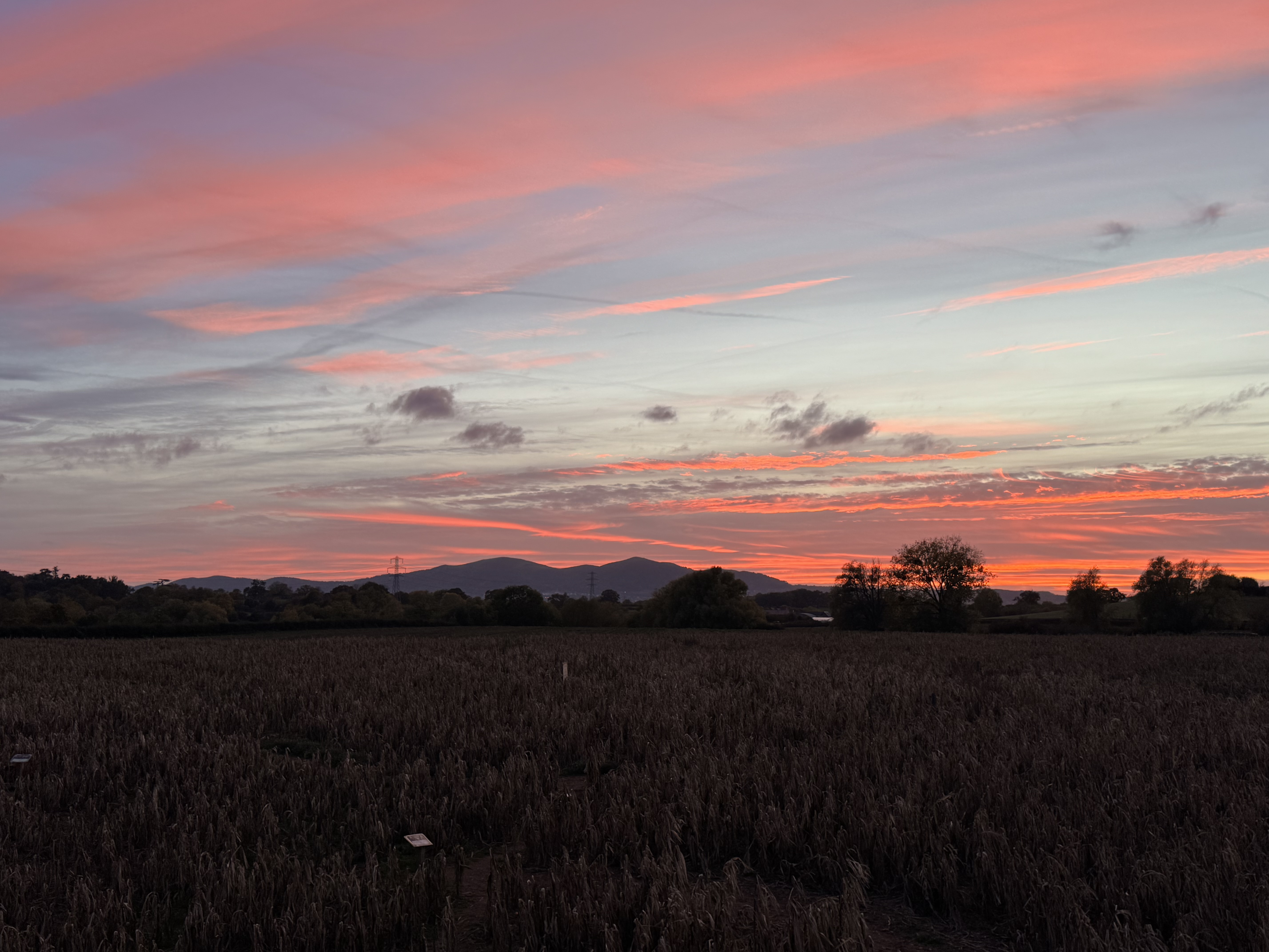 Open Sunday 25th Oct & For Autumn Half Term